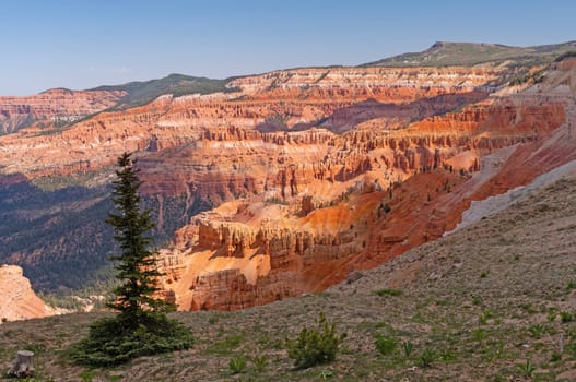 Shadows and Sun on a Colorful Canyon at Cedar Breaks National Monument in Utah