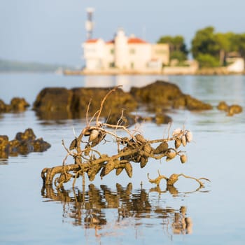 Lighthouse at Sveti Ante channel in Sibenik, Croatia