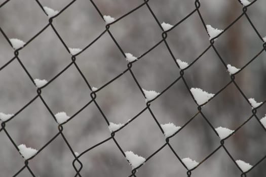 First snow on a grid in a winter day