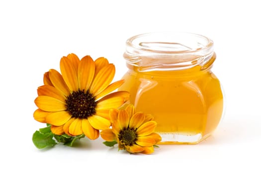 honey and flowers on white  background