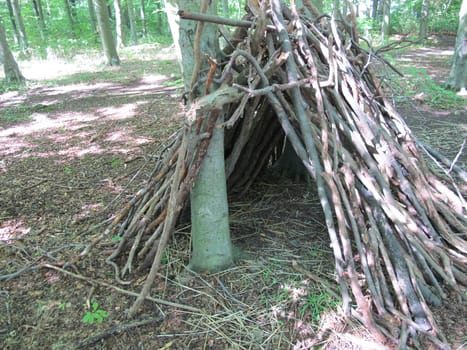 Self-constructed bushcraft shelter from branches in forest