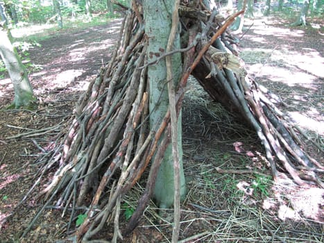Self-constructed bushcraft shelter from branches in forest
