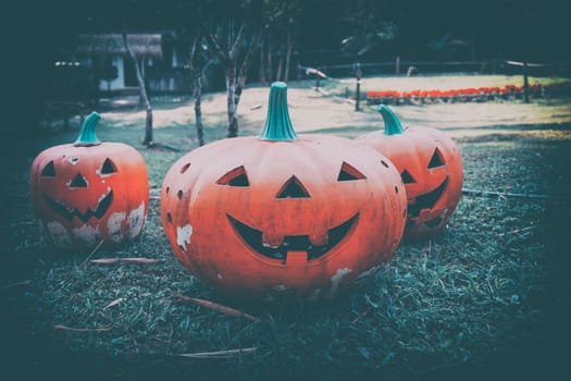 Halloween of pumpkin on the green Lawn