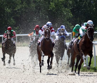 Race for the prize of the "Elita"" in Pyatigorsk,Northern Caucasus, Russia."
