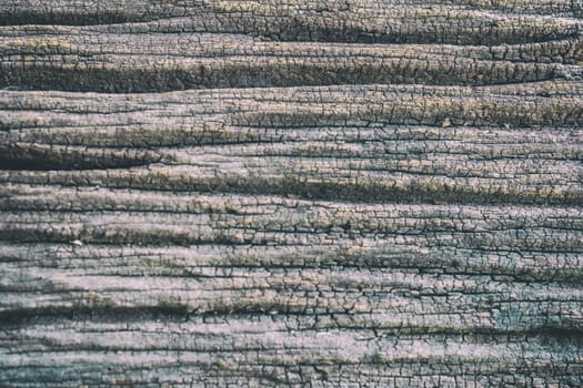 Old gray wood background wallpaper texture space