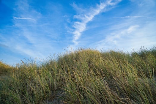 Beach crossing in Denmark by the sea. Dunes, sand water and clouds on the coast. Trip to the Baltic Sea. Vacation on the beach. Scandinavia landscape