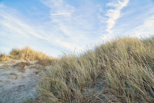 Beach crossing in Denmark by the sea. Dunes, sand water and clouds on the coast. Trip to the Baltic Sea. Vacation on the beach. Scandinavia landscape