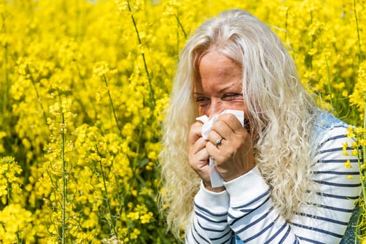 Woman suffers from allergy in a rape field and has to sneeze.