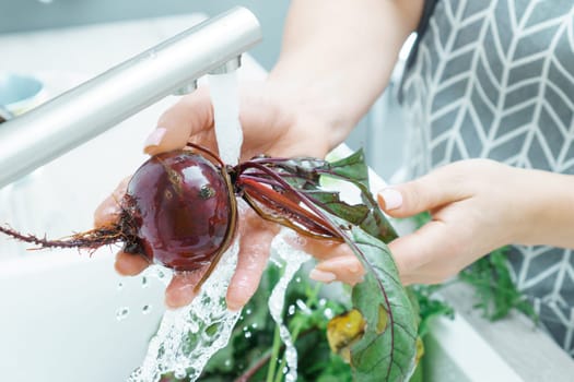 Female hands washing fresh beet under tap water jet in kitchen sink closeup. Dirty raw unpeeled beetroot with green haulm. Cooking, prepare ingredients, food cleaning. Healthy nutrition, vegetables.
