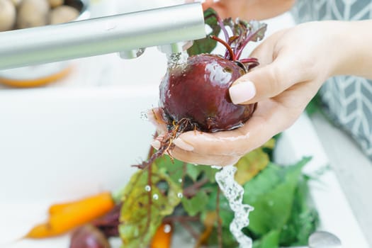 Female manicured hands washing fresh beet under tap water jet in kitchen sink closeup. Dirty unpeeled beetroot with green haulm. Cooking, prepare ingredients, food cleaning. Healthy diet, vegetables.
