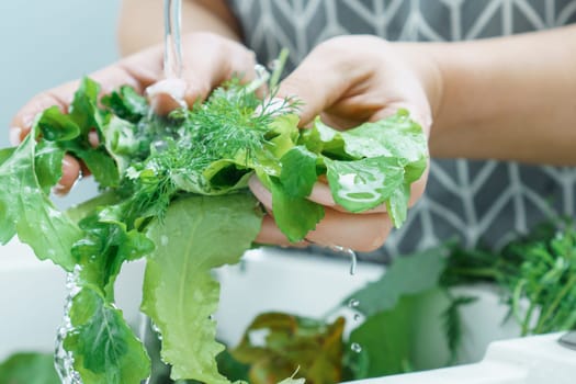Female hands rinsing fresh greens leaves under water jet in kitchen sink closeup. Dirty raw green plants. Vegetarianism. Cooking, prepare ingredients, food cleaning. Healthy nutrition, diet.
