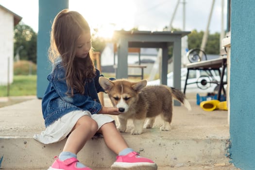 Charming little girl caress pretty corgi dog sitting outdoors on house yard. Purebred dog, love pets, domestic animal, beautiful small doggy. Child play with brown fluffy cute puppy.