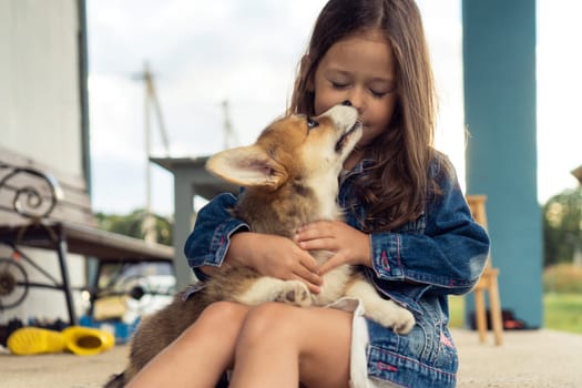 Happy little girl hug and kiss pretty corgi dog sitting outdoors on house yard. Purebred dog, love pets, domestic animal, beautiful small doggy. Child play with brown fluffy cute puppy.