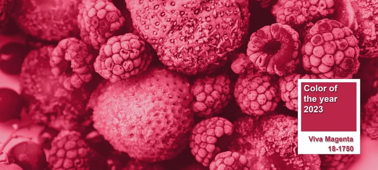 Color of the Year 2023 Viva Magenta. Red frozen berries covered with frost. Raspberries, strawberries, red currants