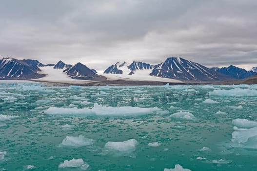 Rich Colors in an Arctic Habitat at Lilliehookfjorden in the Svalbard Islands in Norway