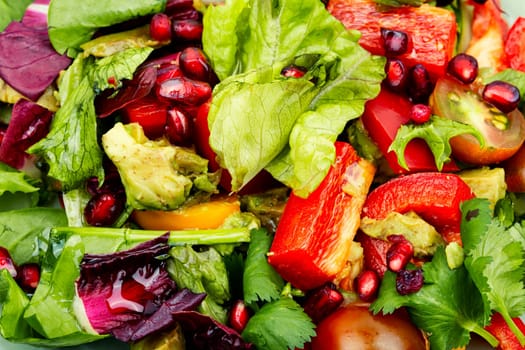 Vitamin salad with greens, pepper, radicchio and cucumber, decorated with pomegranate. Diet menu