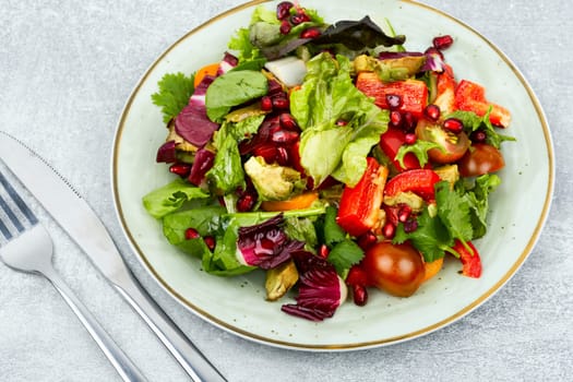 Vitamin salad with greens, pepper, radicchio and cucumber, decorated with pomegranate. Diet menu