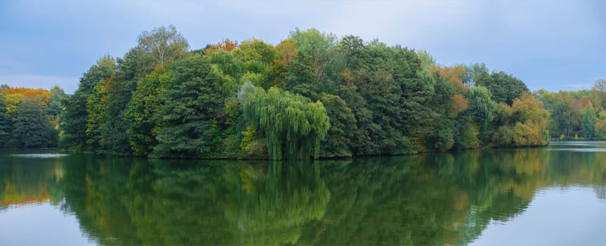 Island overgrown with trees. Wild nature. Photo taken from a boat.