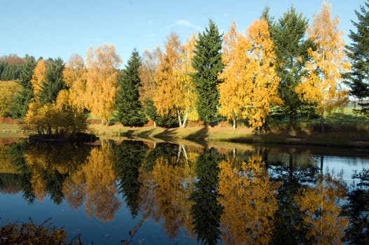 Autumn impression