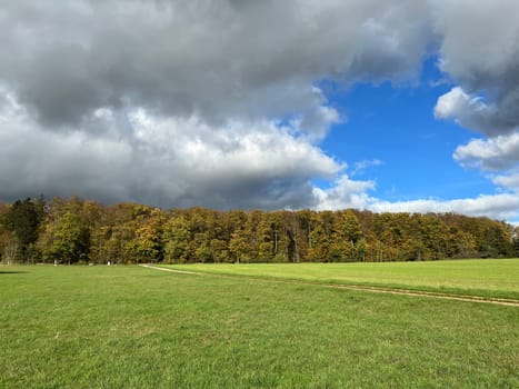 Autumn landscapes in Taunusstein are of a special idyll.  Autumn landscapes in Taunusstein are particularly idyllic.