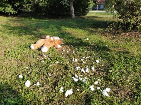 An unnecessary forgotten toy on the grass. A torn teddy bear lies on the ground. Violence and forgetfulness concept. White cotton wool is visible from the bear's chest. The filler is around the toy.