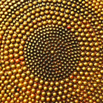 Pimples or spikes made of gold metal. Metal rounded bulges are located in a circle. Symbol of the sun or cycle. Unusual abstract background. The pimples are larger at the edges than in the middle