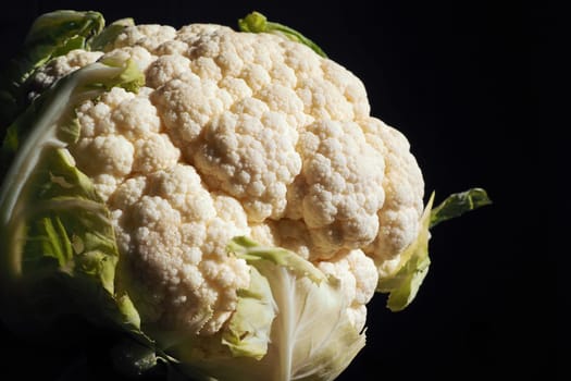 Cauliflower close-up on a black background. Side lighting. Fresh head of cabbage. Green vegetables. Brassica oleracea in the genus Brassica Brassicaceae family. Healthy food and vegetarianism