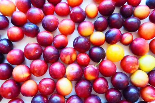 Cherry plum on a white background. A yellow-red cherry plum mix just removed from a tree. Delicious fresh plum berries. Appetizing large cherry plum for sale catalog. Food on a white background.