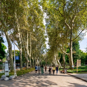 Istanbul, Turkey - August 30, 2022: Pedestrian passage surrounded with huge old trees, with few pedestrians walking, in Gulhane Park in summer time, Sultan Ahmet district
