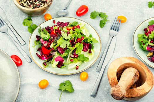 Vitamin salad with greens, pepper, red lettuce and cucumber, decorated with pomegranate.
