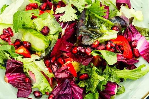 Vitamin salad with greens, pepper, red lettuce and cucumber, decorated with pomegranate.