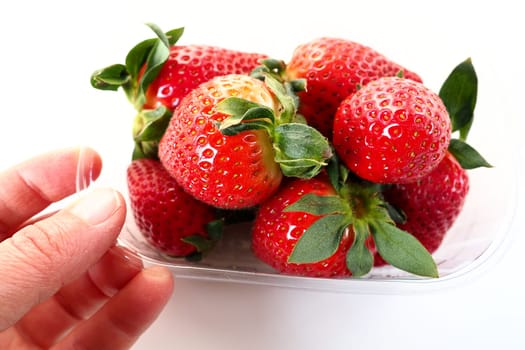 Ripe strawberries in a plastic package on a white background. Delicious fresh berries in a container for sale to customers. Keeping food fresh. Healthy food. Woman's hand holding strawberries
