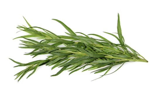 Tarragon,Artemisia dracunculus,is an important medicinal and herbaceous plant. Tarragon,Artemisia Dracunculus,is an important medicinal and herb plant