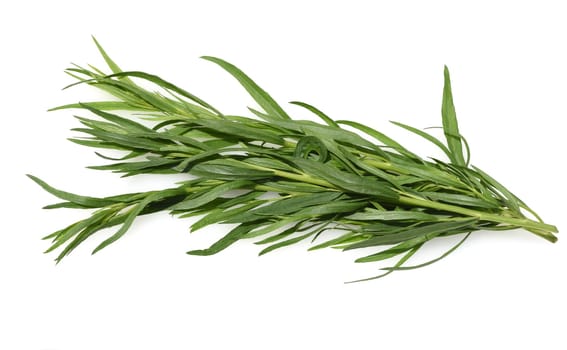 Tarragon,Artemisia dracunculus,is an important medicinal and herbaceous plant. Tarragon,Artemisia Dracunculus,is an important medicinal and herb plant
