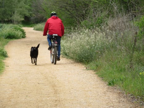 cyclist accompanied by a dog doing quiet sport slowly