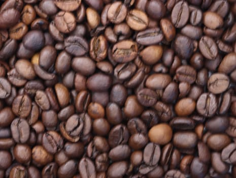 delicious roasted natural coffee beans with careful aroma flavor