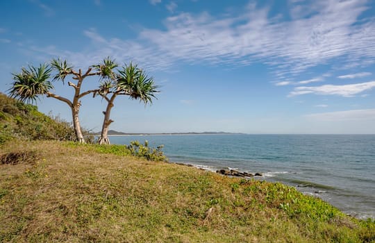 Northern view of Pacific Ocean and coastline from Point Arkwright Lookout, Sunshine Coast, Queensland.