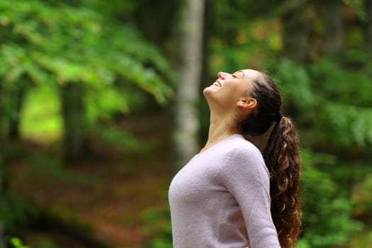 Profile of a happy woman in a forest breathing fresh air