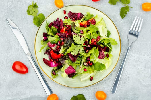 Healthy salad with greens, pepper, red lettuce and cucumber, decorated with pomegranate.
