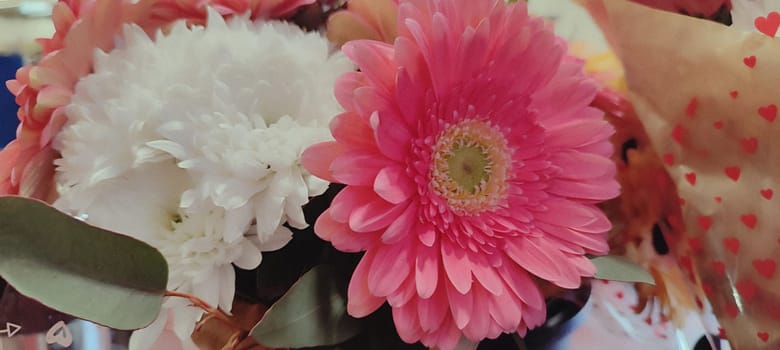 flowers asters pink and white, petals flora nature bouquet women's day plants botanical garden species variety beauty. High quality photo