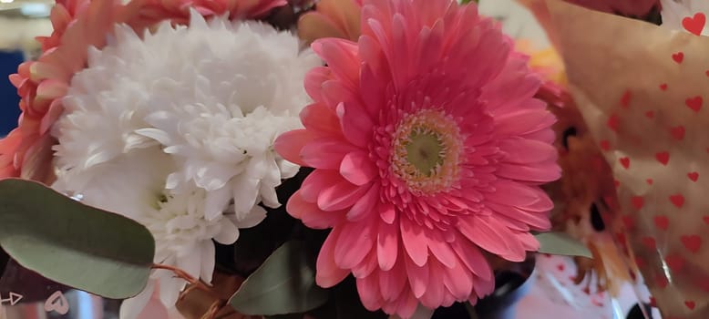 flowers asters pink and white, petals flora nature bouquet women's day plants botanical garden species variety beauty. High quality photo
