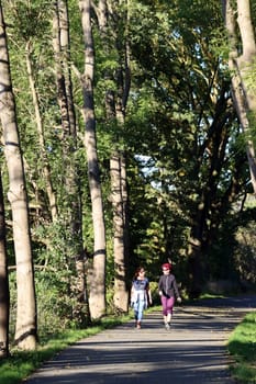 Diemelradweg und Wanderweg auf der Trasse der ehemaligen Carlsbahn, Hessen, Deutschland, Trendelburg