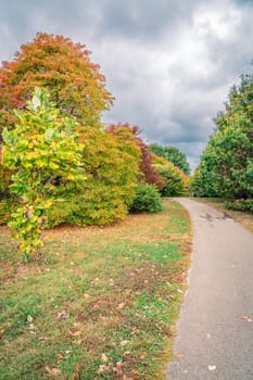 Hiking trail in Arboretum in Lexington, Kentucky in fall