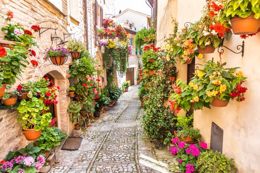 Spello, Italy - Circa June 2021: flowers in ancient street. Spello is located in Umbria region, Italy.