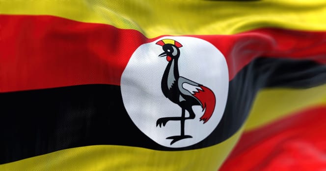 Close-up view of the Uganda national flag waving in the wind. The Republic of Uganda is a country in East Africa. Fabric textured background. Selective focus. 3d illustration