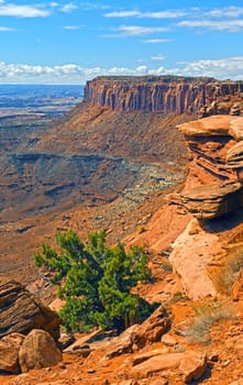 Sandstone Ridge Jutting Out of a Canyon in Canyonlands National Park in Utah