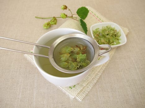 Herbal tea with dried hop flowers in tea strainer
