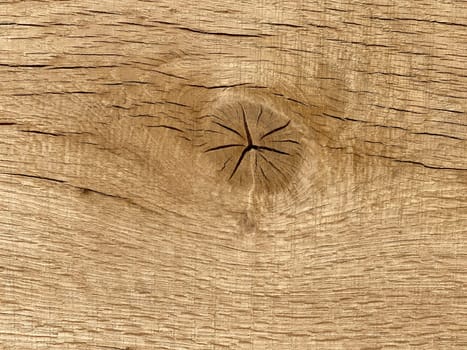 Knothole a hole created by a branch falling out of a wooden board. knothole a hole caused by a branch falling out of a wooden board.