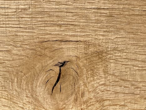 Knothole a hole created by a branch falling out of a wooden board. knothole a hole caused by a branch falling out of a wooden board.