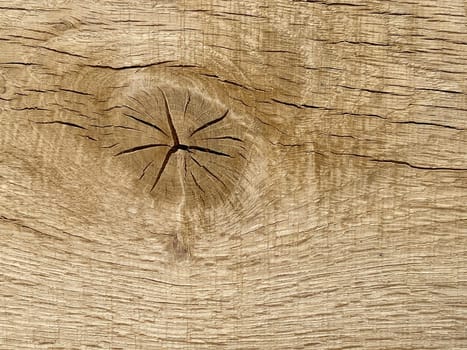 Knothole a hole created by a branch falling out of a wooden board. knothole a hole caused by a branch falling out of a wooden board.